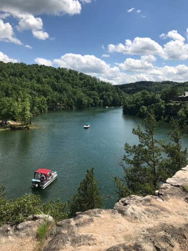 E36273EF-7D72-4118-82A6-4988B5E53E8F